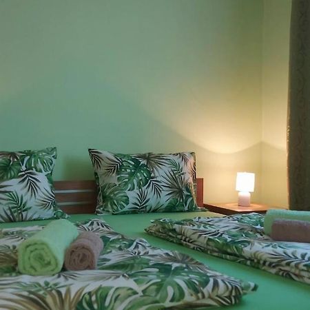 Apartman ,,Milica" Donji Milanovac Eksteriør bilde