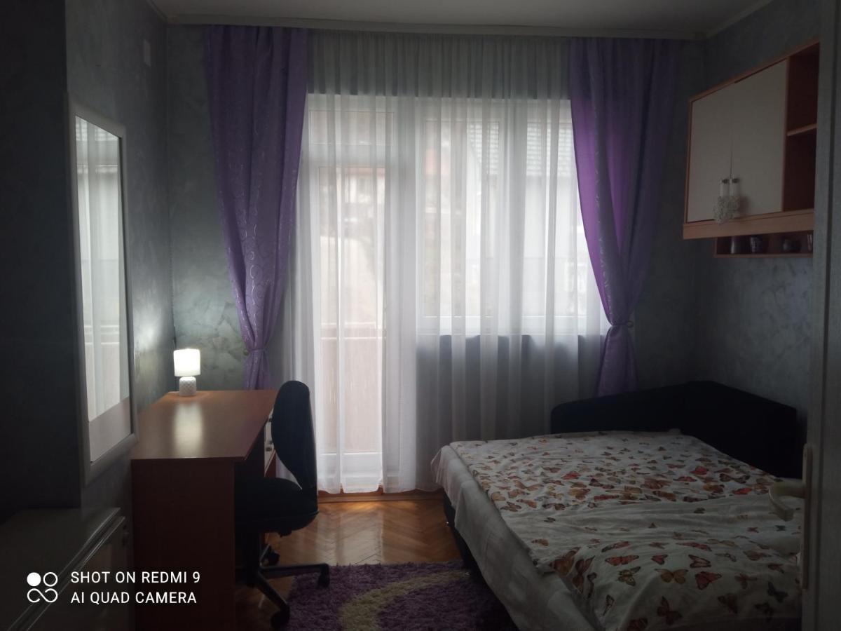 Apartman ,,Milica" Donji Milanovac Eksteriør bilde