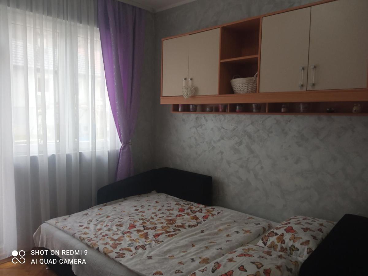 Apartman ,,Milica" Donji Milanovac Eksteriør bilde